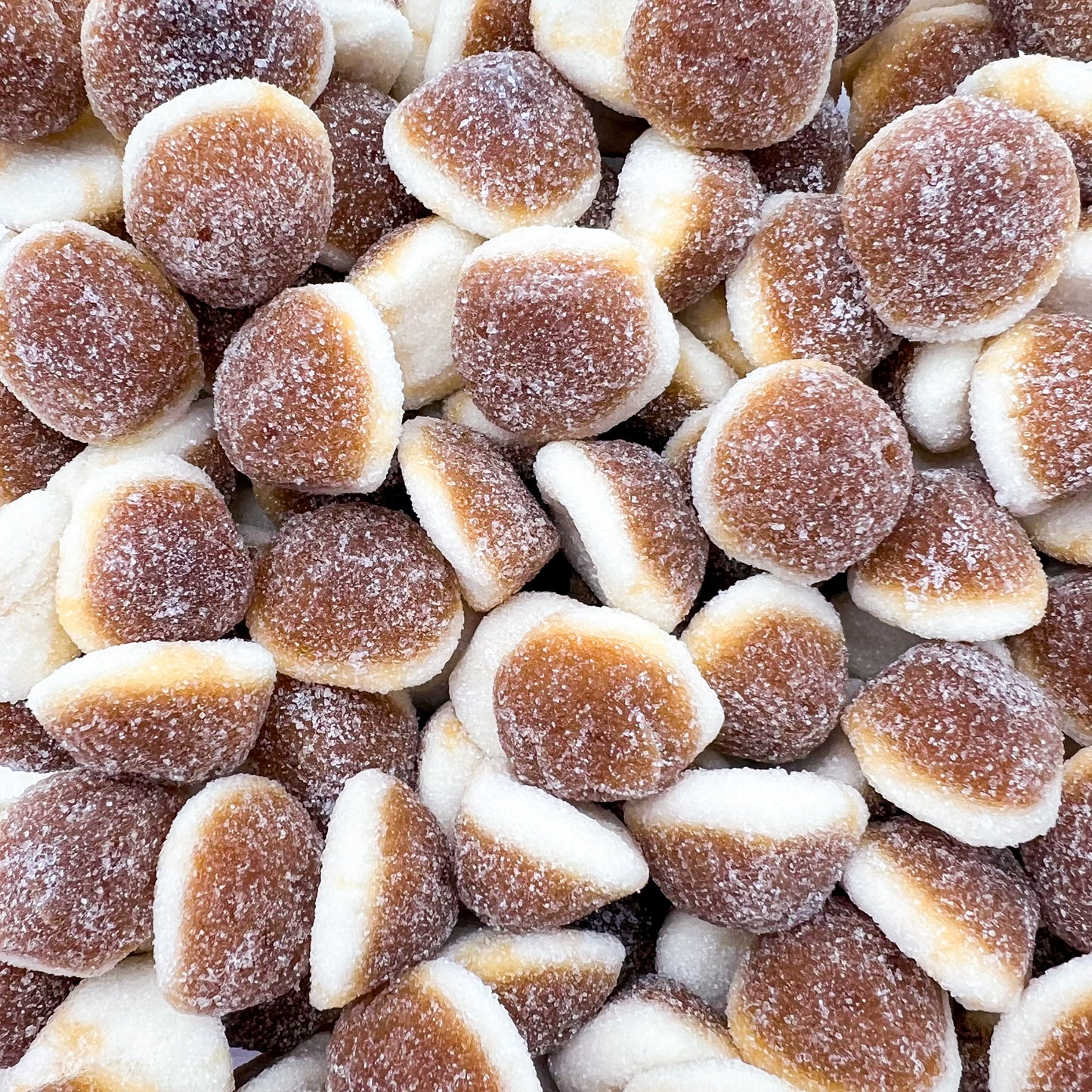 NOIX DE COCO SUCREE 100G